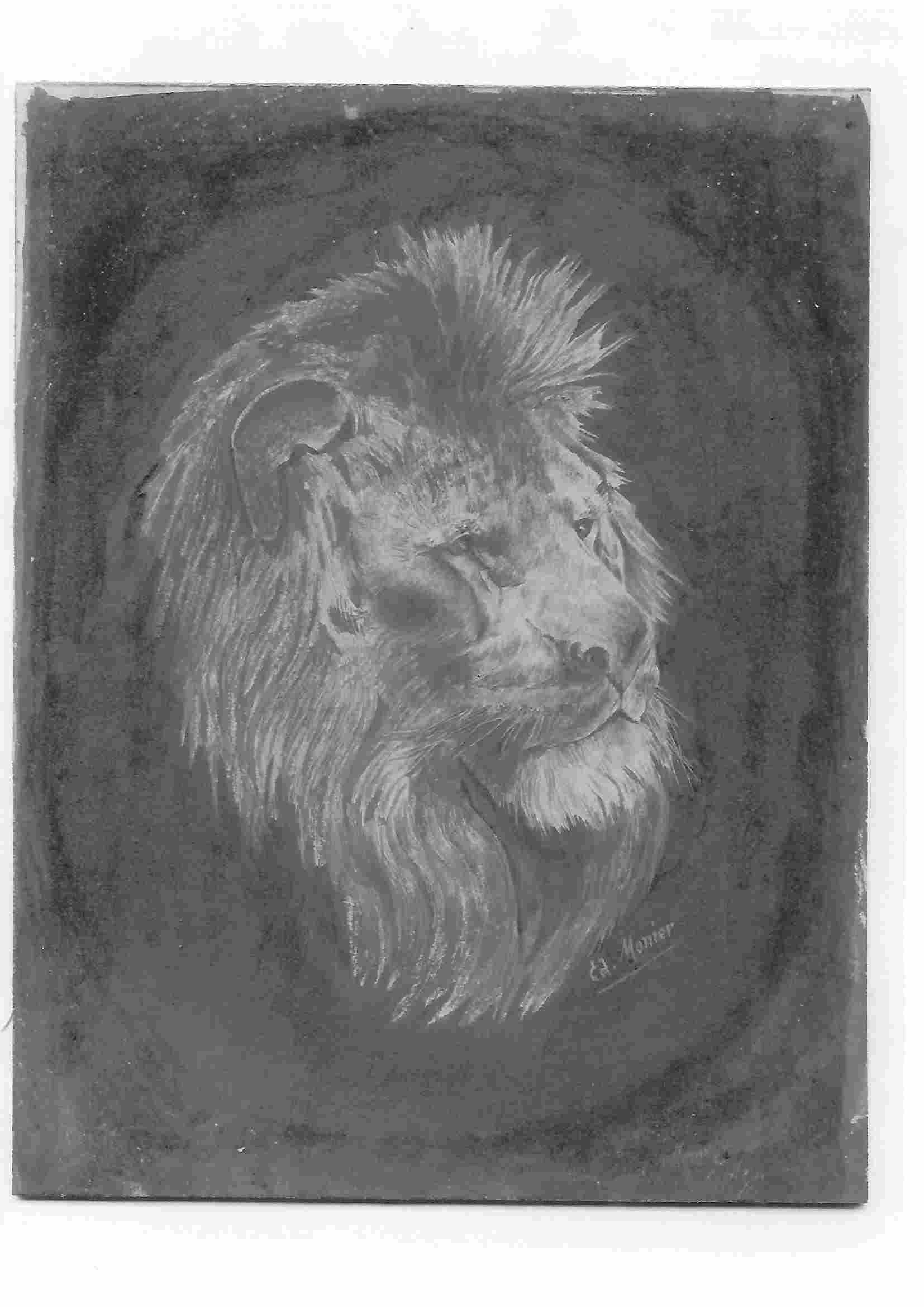 Le lion de grand-père