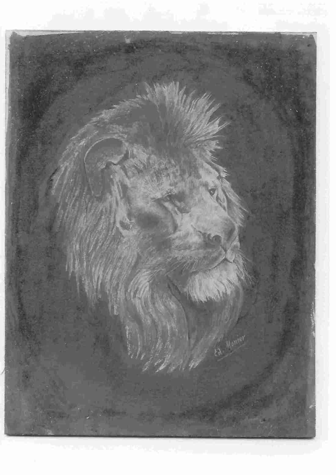 Le lion de grand-père